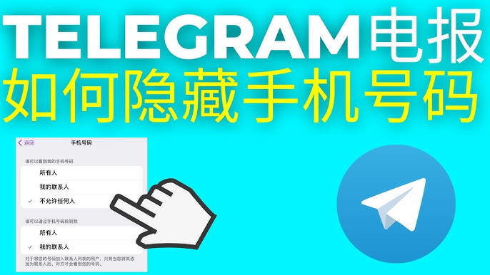 Telegram我的手机号会被谁看到?